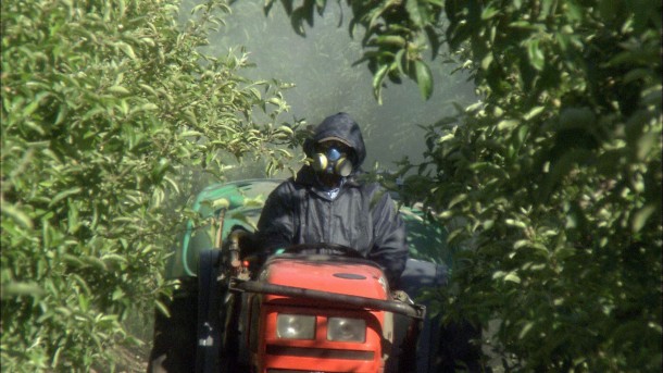Pesticidas colaboram para o surgimento de doenças